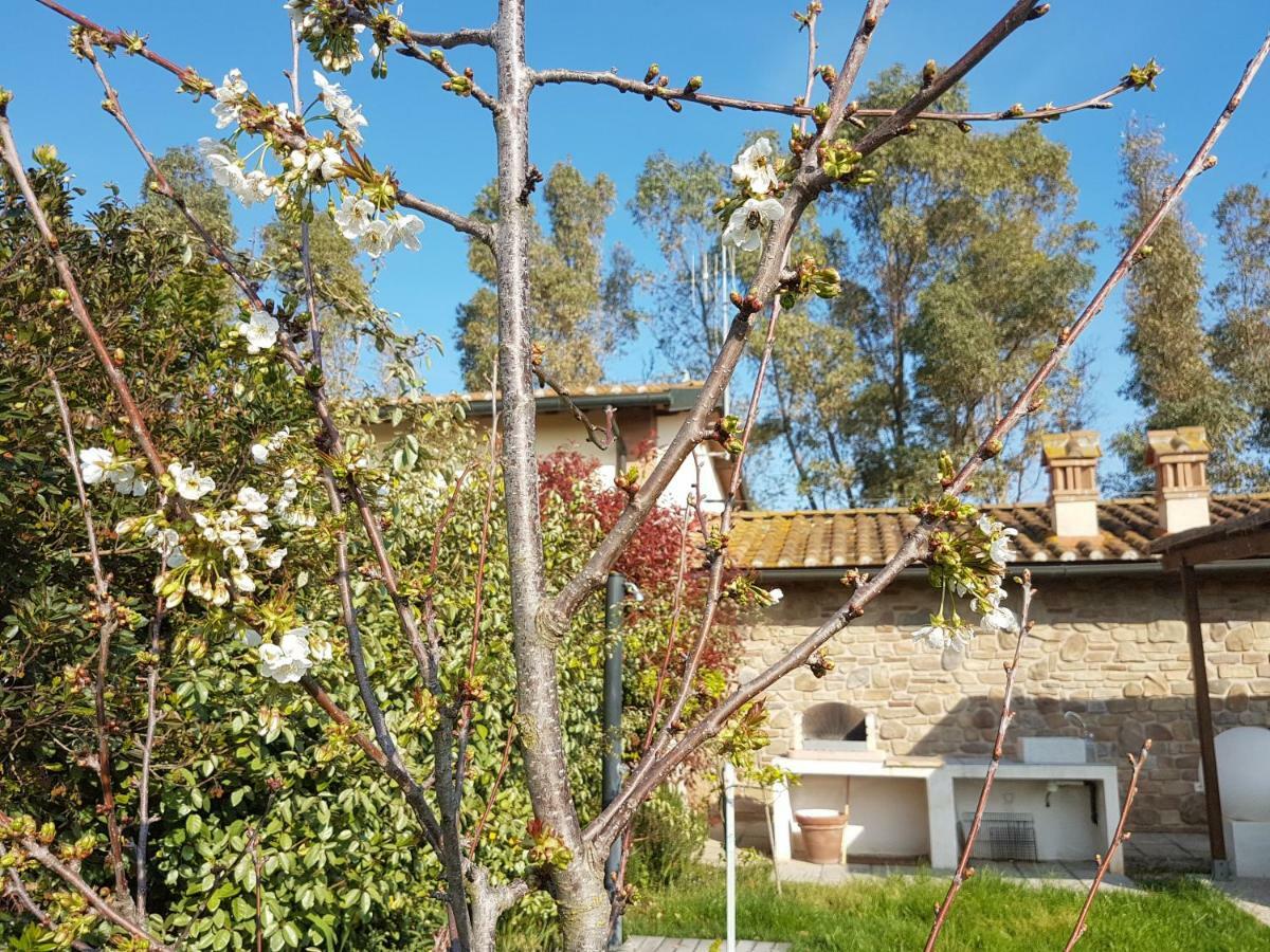 Casa Paduletto Villino Il Padulettoヴィラ エクステリア 写真